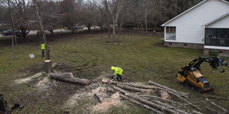 Emergency Tree Services