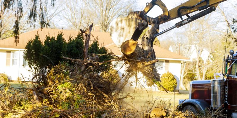 Land Clearing Services