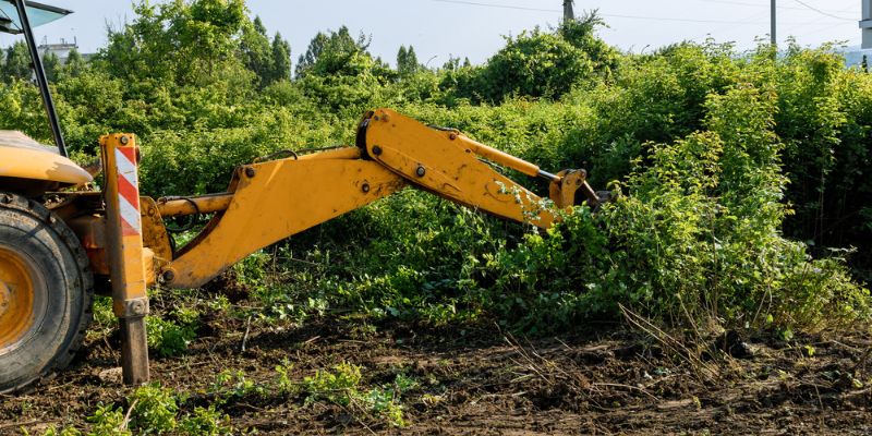 Storm Damage Tree Removal Services