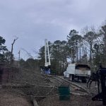Best Landclearing Sc