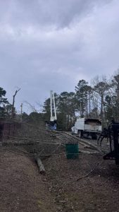 Best Landclearing Sc