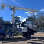 Expert Tree Service South Carolina