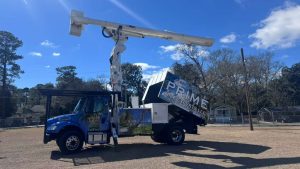 Expert Tree Service South Carolina