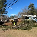 Prime Tree Removal Sc
