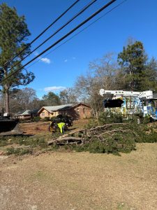 Prime Tree Removal Sc