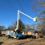 Prime Tree Service Sc
