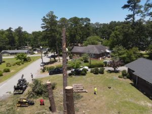 Projects Prime Dji Fly 20260604 122648 660 1780590436370 Photo1 Medium