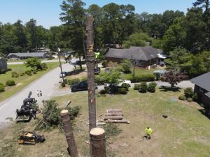 Projects Prime Dji Fly 20260604 122706 661 1780590452276 Photo1 Medium