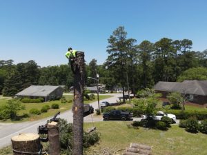 Projects Prime Dji Fly 20260604 122850 663 1780590563969 Photo1 Medium