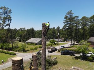 Projects Prime Dji Fly 20260604 122858 664 1780590578516 Photo Medium