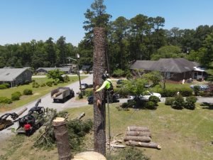 Projects Prime Dji Fly 20260604 122956 667 1780590638275 Photo Medium