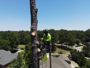 Projects Prime Dji Fly 20260605 131256 691 1780679656392 Photo Medium
