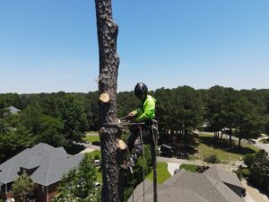 Projects Prime Dji Fly 20260605 131302 692 1780679645821 Photo Medium