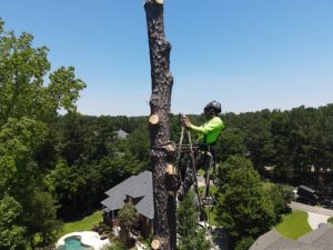 Projects Prime Dji Fly 20260605 131310 693 1780679708992 Photo Medium
