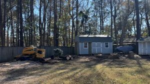 South Carolina Tree Service