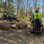 Stump Removal Sc