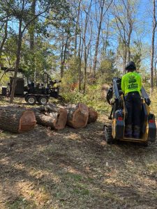 Stump Removal Sc