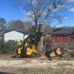 Stump Removal Service Sc