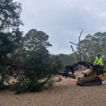 Tree Removal Sc