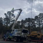 Tree Removal Truck Sc