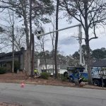 Tree Trimming Sc