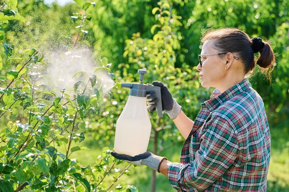 10 Essential Summer Tree Care Tips For Columbia Homeowners