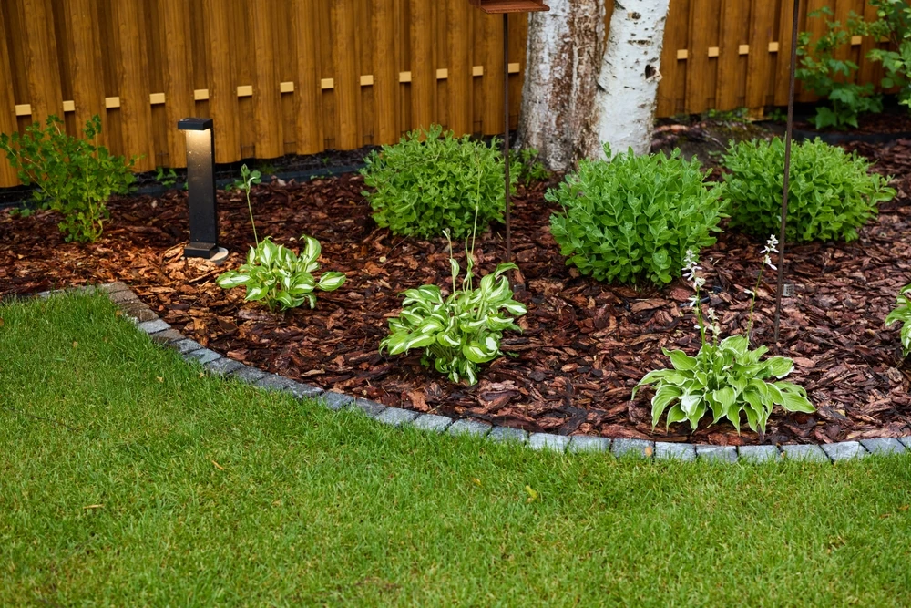 Refresh Mulch To Protect Tree Roots